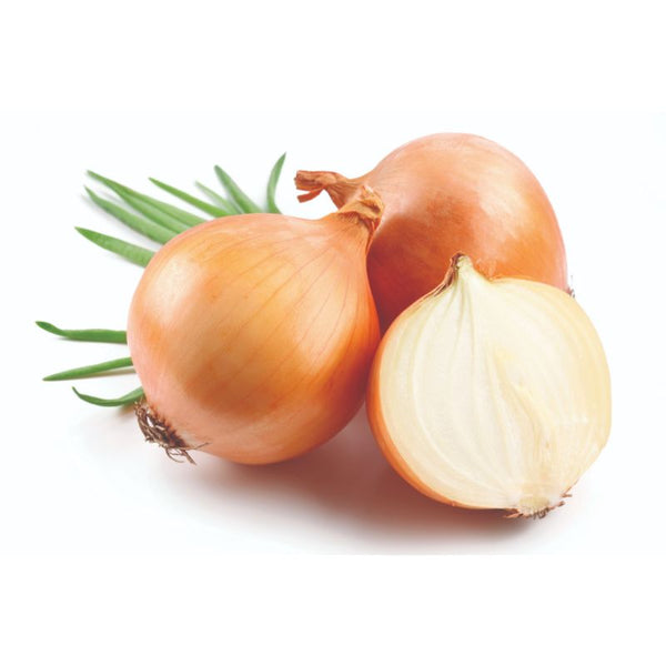 Onion - Sweet Spanish White