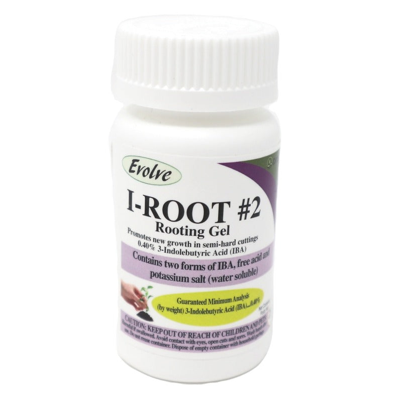EVOLVE ROOT#2 SEMI-HARD 25G