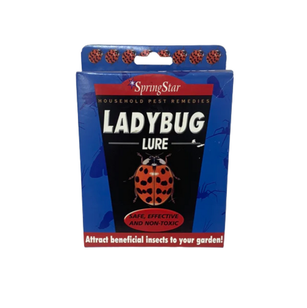 Ladybug Lure