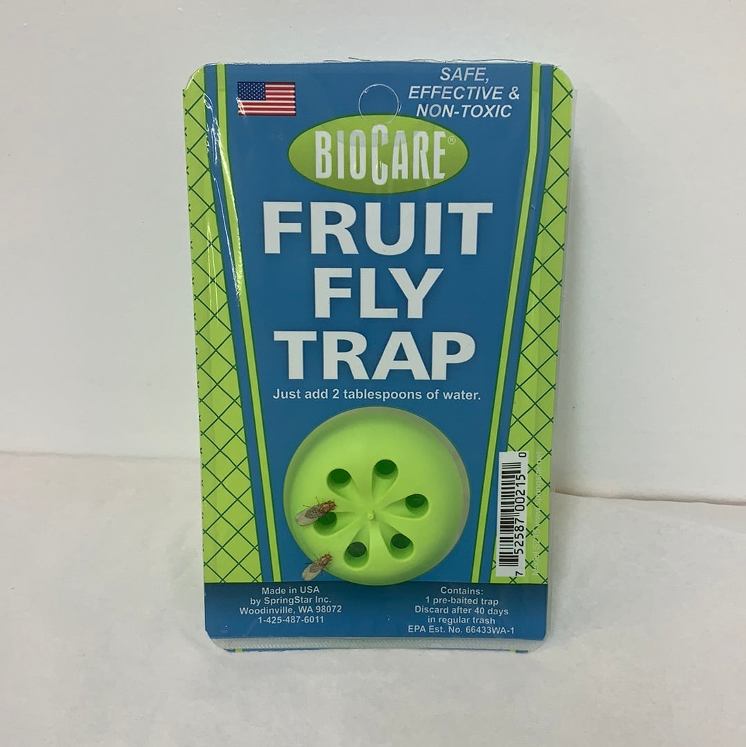 Fruit Fly Trap