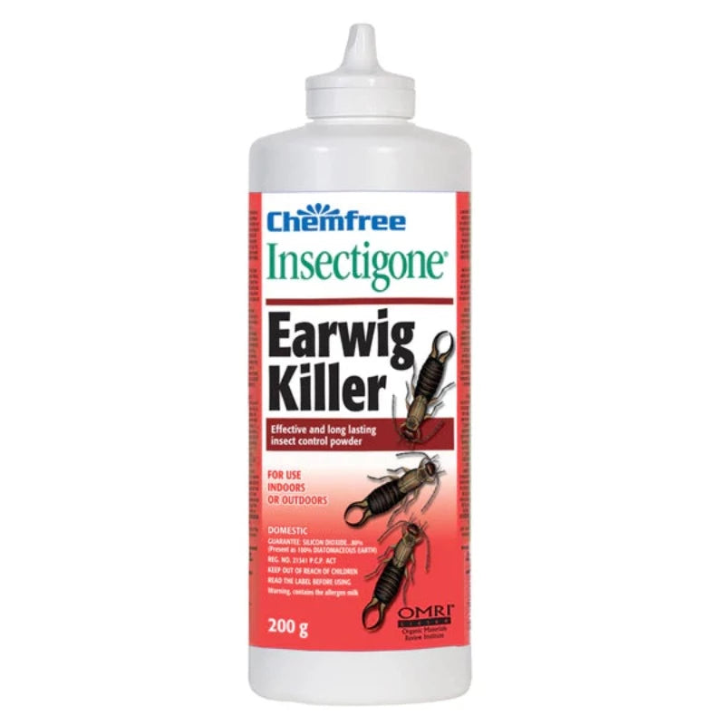 INSECTIGONE Earwig Killer – Knippel Garden Centre