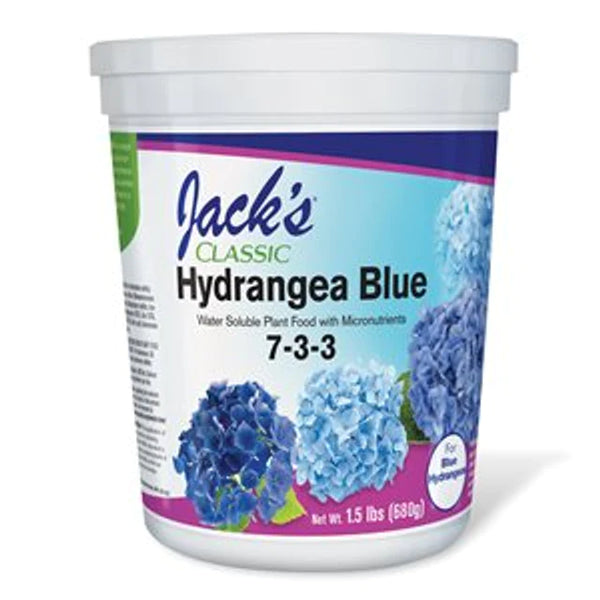 JACK'S HYDRANGEA BLUE