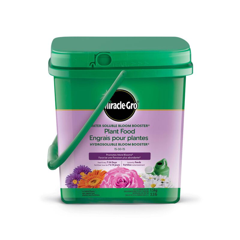 MIRACLE GRO BLOOM BOOSTER
