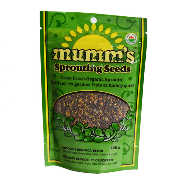 Mumm's Sprouting Seeds- Broccoli Brassica Blend