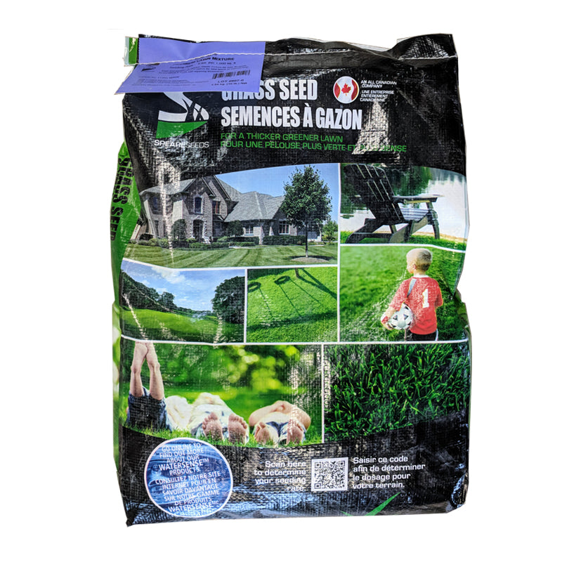 Grass Seed Sun Mixture